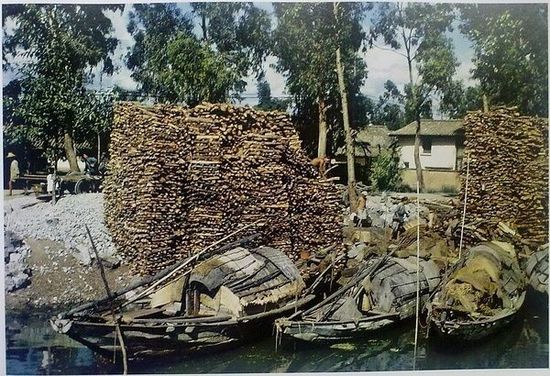 Цветные фотографии со времен войны с японскими захватчиками (1937-1945)