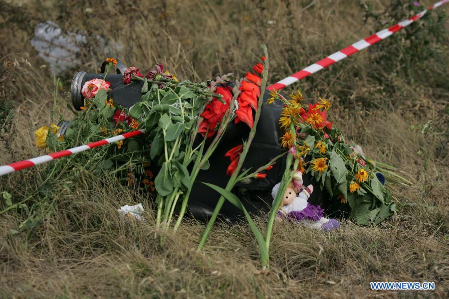 Останки части погибших при крушении самолета "Малайзийских авиалиний" отправлены в Донецк