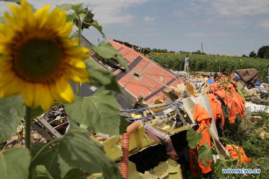 Останки части погибших при крушении самолета "Малайзийских авиалиний" отправлены в Донецк