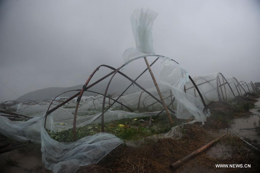 Тайфун "Фунг-Вонг" достиг побережья восточнокитайской провинции Чжэцзян