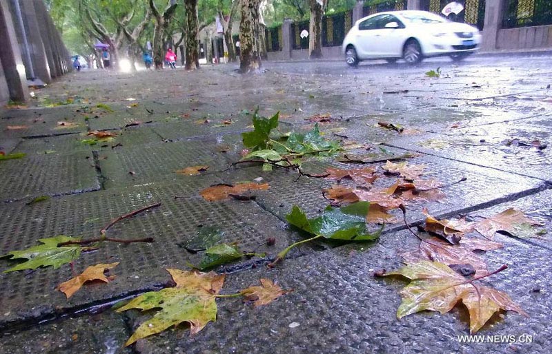 На Шанхай вновь обрушился тайфун после 25-летнего перерыва