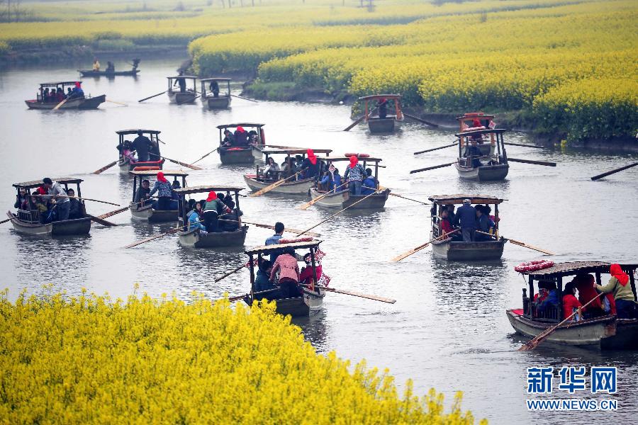 Туристы, плывя на лодках, любуются рапсовыми полями в живописном районе Синхуа провинции Цзянсу (5 апреля). 