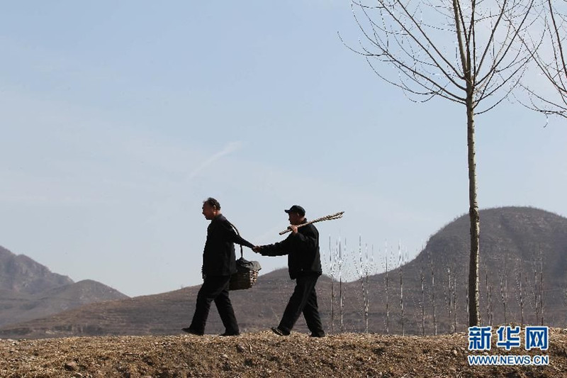 Фото-история: два инвалида из провинции Хэбэй за 10 лет посадили 10 тысяч деревьев