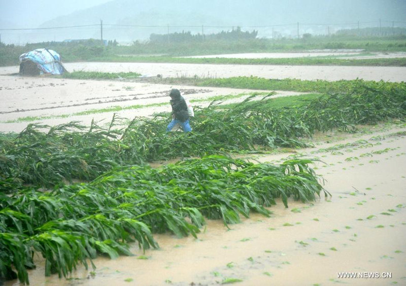 Тайфун "Чан-Хом" достиг восточного побережья Китая 