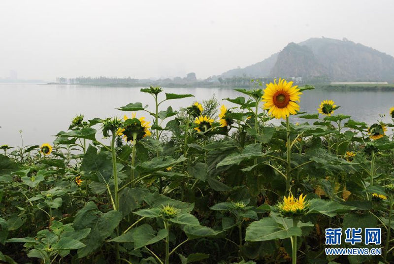Посетите "источник мирового шелка"— стоянку Цяньшаньян провинции Чжэцзян