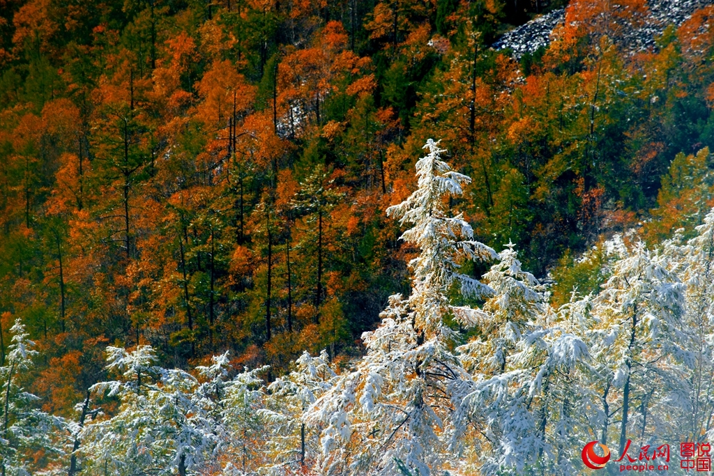 Осенний пейзаж в Дасинаньлине