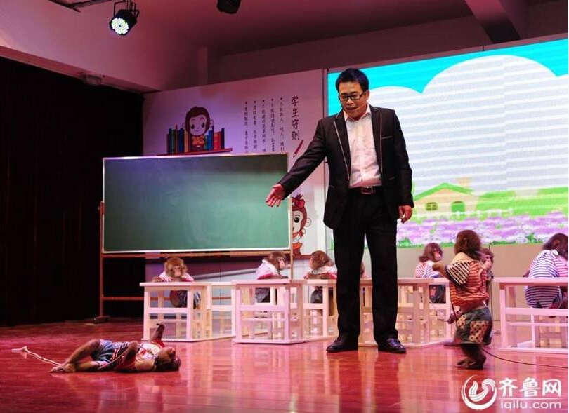 В Китае открылась первая школа для макак