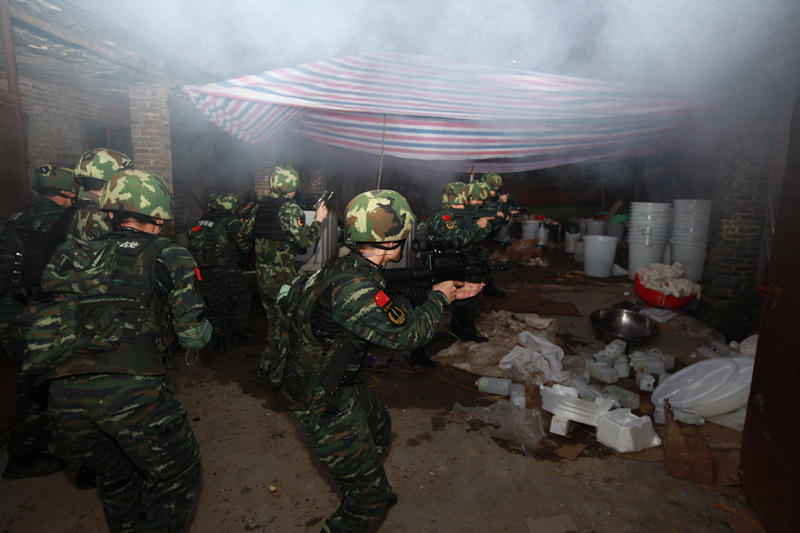 Полицейские провинции Гуанси ликвидировали огромную базу по производству наркотиков