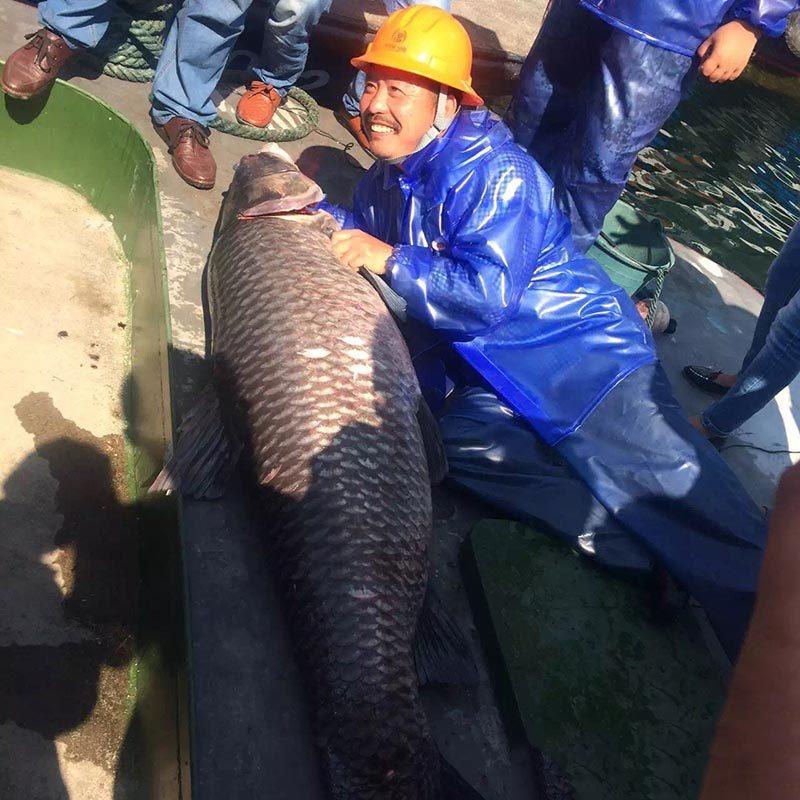 Китайские рыбаки поймали рыбу весом более 90 кг