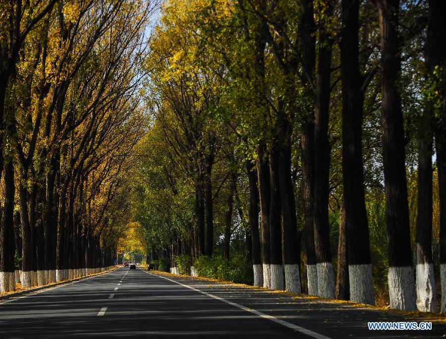 Золотая осень, красивые фотографии