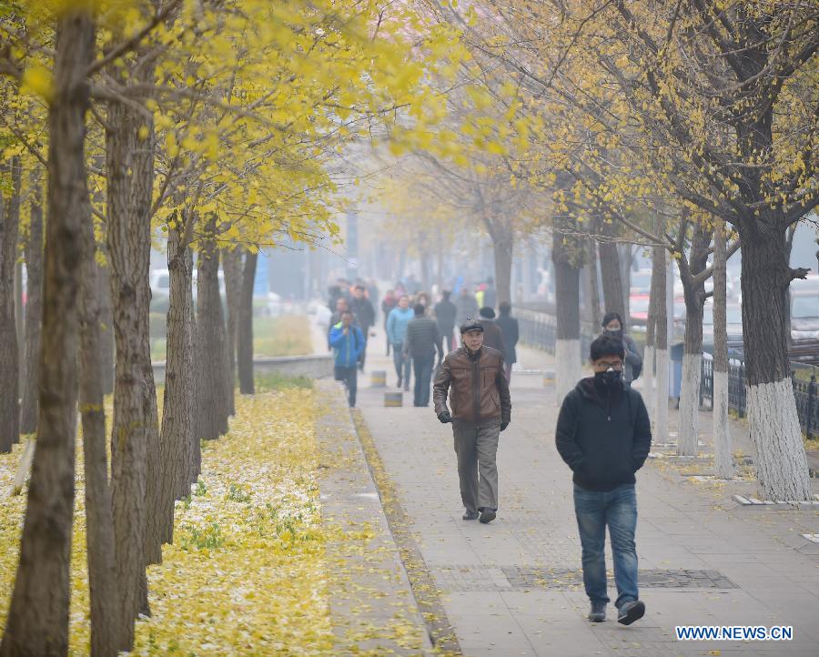 Загрязнение воздуха может сохраняться на большей части северо-востока Китая до 14 ноября