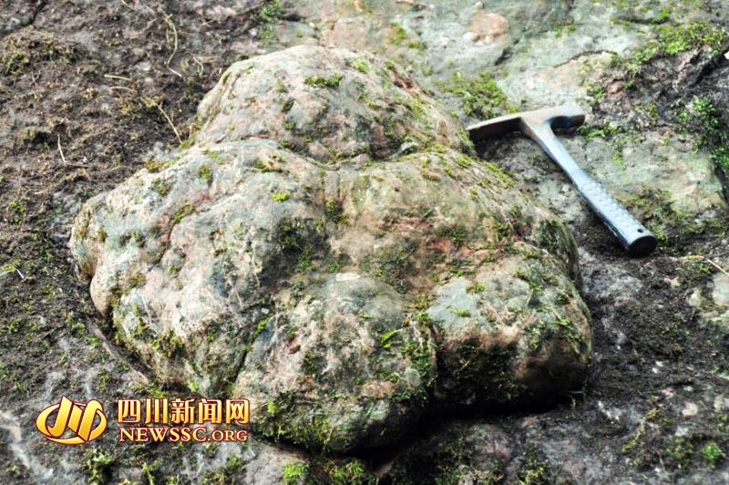 Гигантские следы динозавров обнаружены в провинции Сычуань
