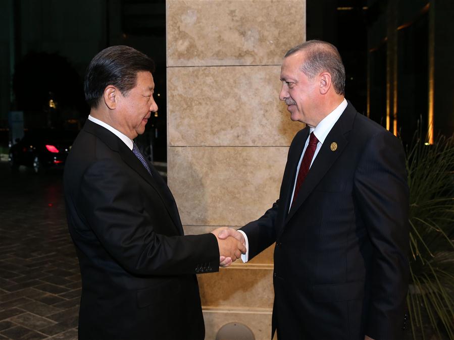 Си Цзиньпин встретился с президентом Турции