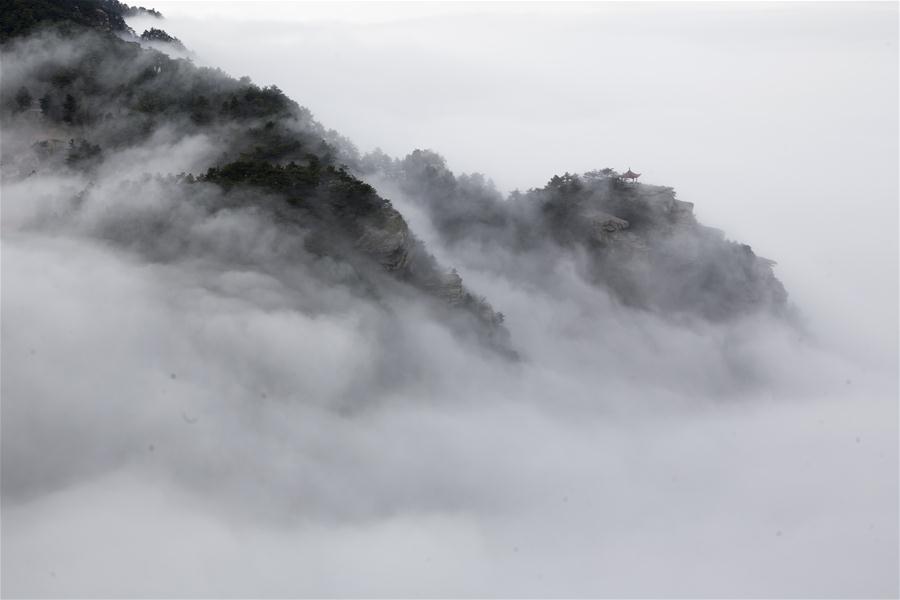 Туман в горах Лушань провинции Цзянси