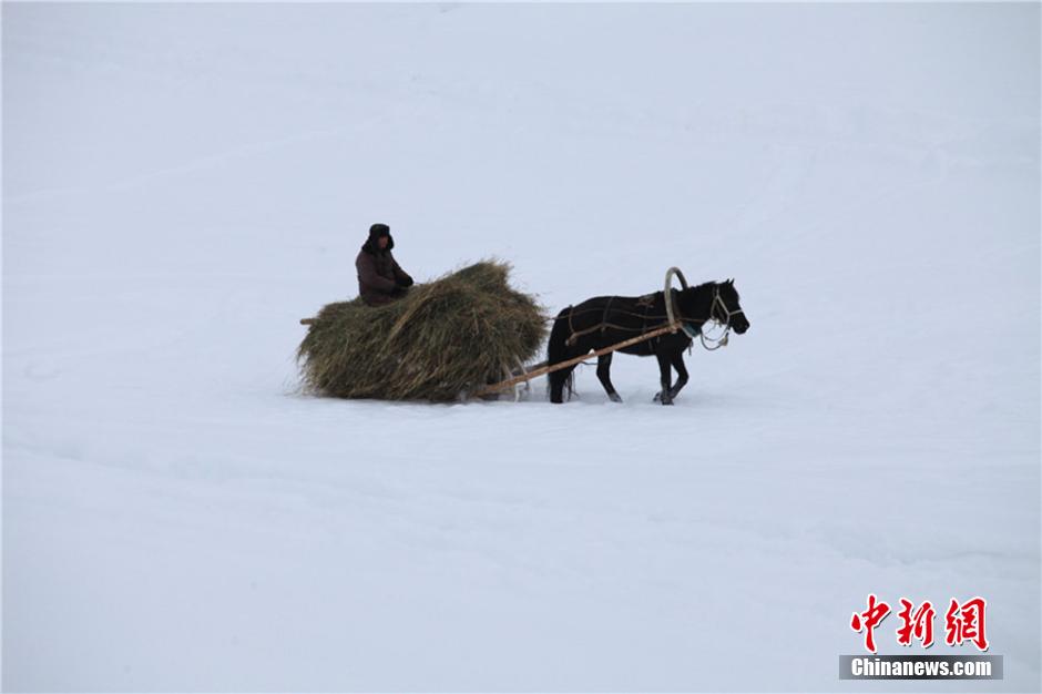 Зимний пейзаж на севере Синьцзяна