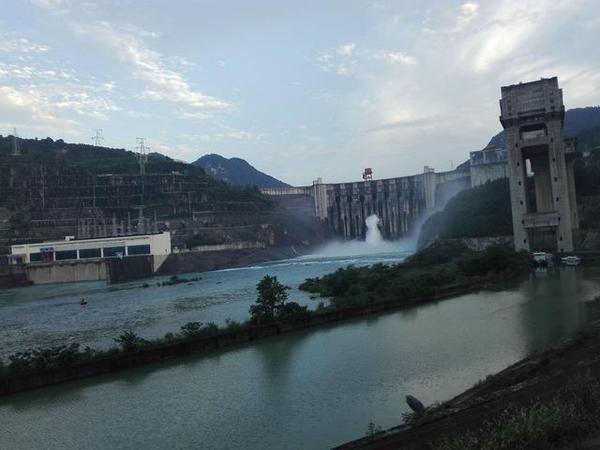 Рыбам оторвало головы в результате сброса воды на китайской ГЭС