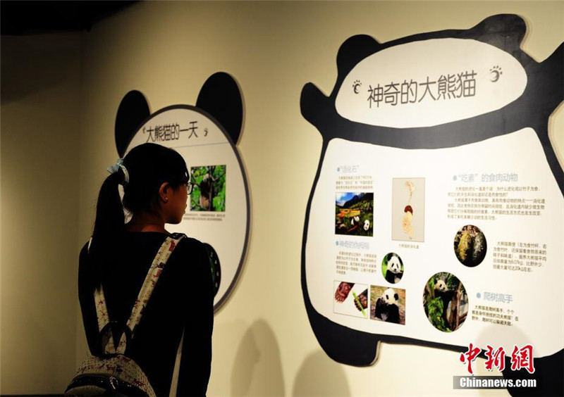 Первая всемирная художественная выставка на тему панд стартовала в Китае