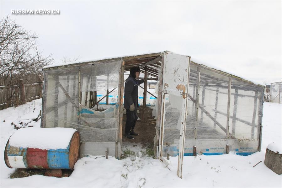 Зимняя жизнь в белорусской деревне