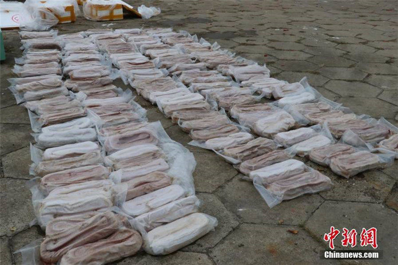 Более 1600 контрабандных крокодиловых шкур обнаружено в Гуанси