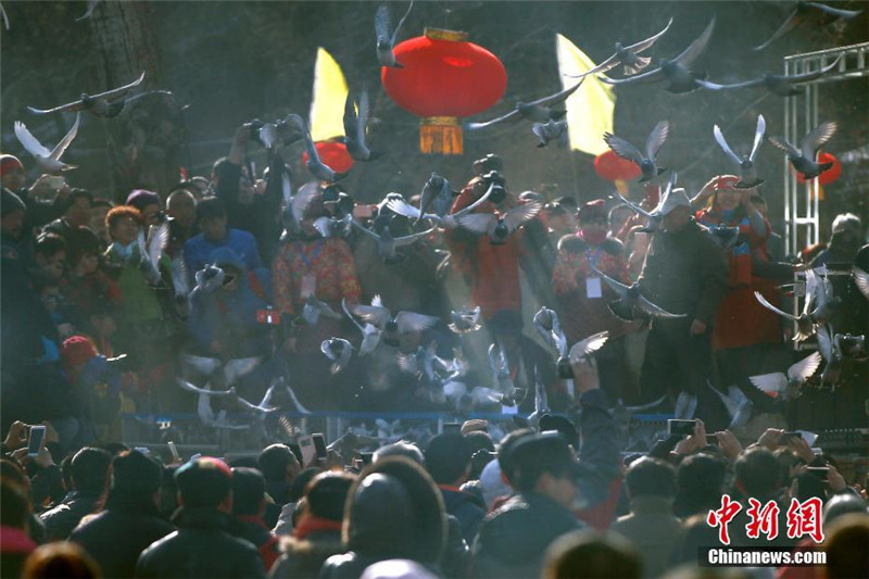 «Праздник птицы» отметили в Пекине