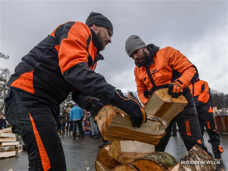 Чемпионат по рубке дров прошел в парке "Сокольники"