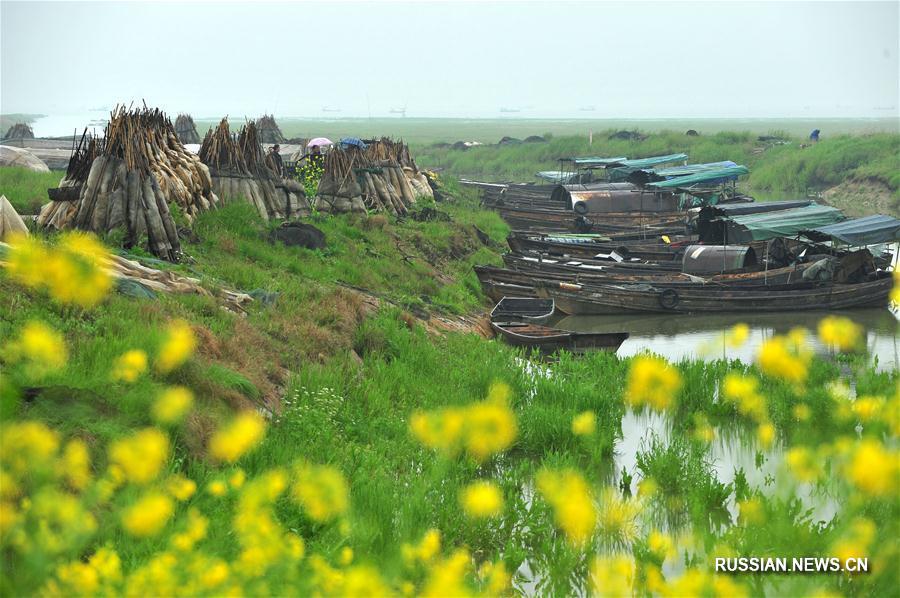 На крупнейшем в Китае пресноводном озере вводится трехмесячный запрет на отлов рыбы