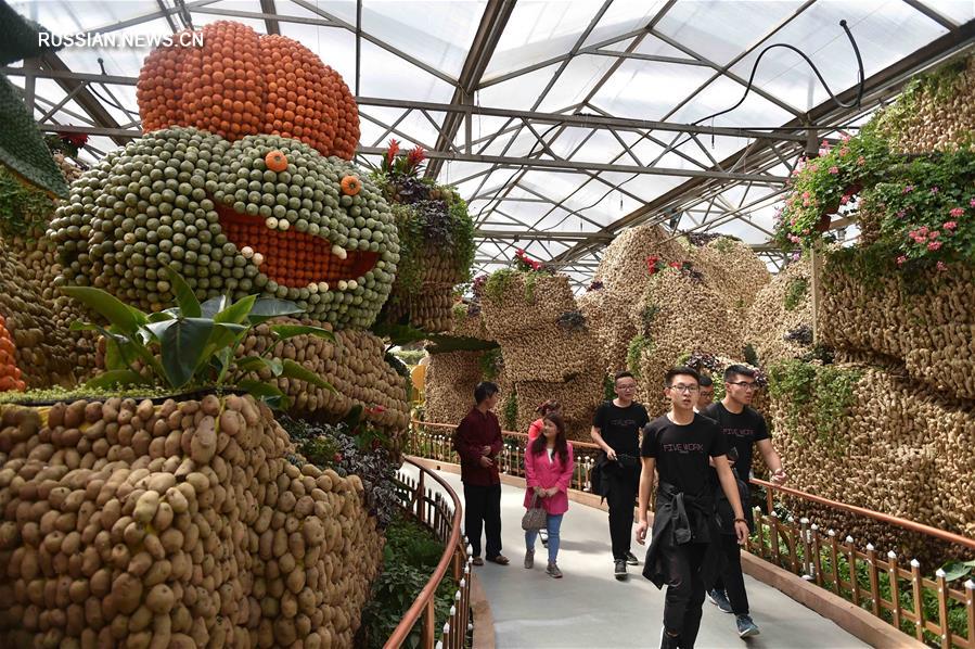 В Шоугуане открылась 18-я Китайская международная овощная научно-техническая выставка