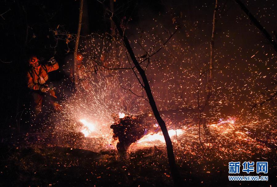 Более 9000 человек участвуют в борьбе с лесными пожарами в Большом Хингане Внутренней Монголии