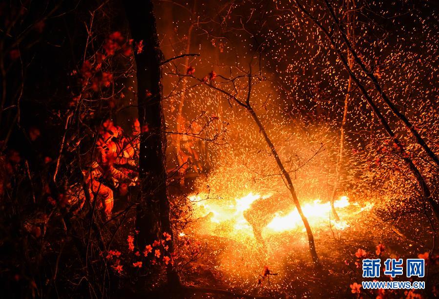 Более 9000 человек участвуют в борьбе с лесными пожарами в Большом Хингане Внутренней Монголии