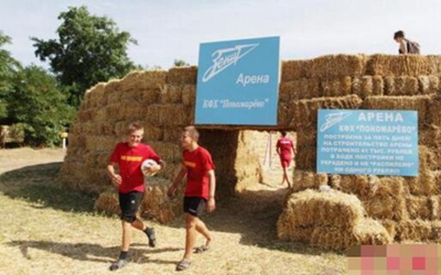 Настоящий болельщик! Житель российской деревни построил футбольное поле из соломы