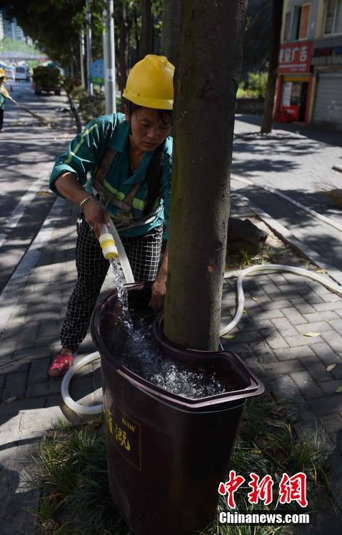 В Чунцине объявлено "красное" предупреждение в связи с повышением температуры воздуха, 4000 баков для поливки деревьев появились на улицах