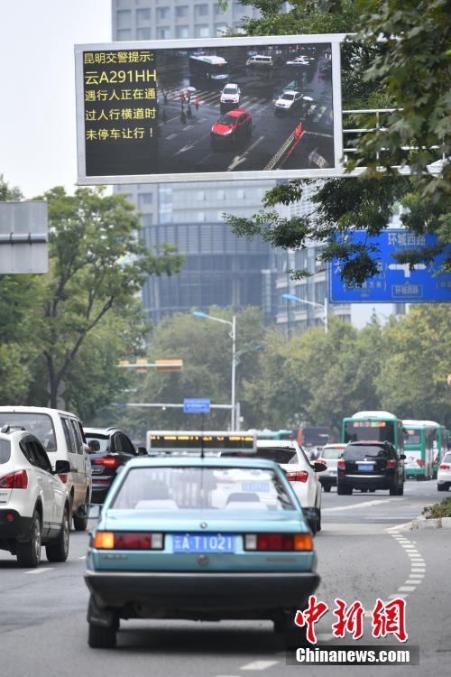 На большом экране улицы в Куньмине высветились машины автомобилистов, не уступавших дорогу пешеходам на зебре