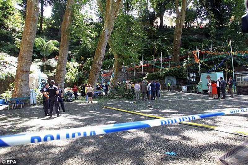 В Португалии 12 человек погибли в результате падения большого дерева