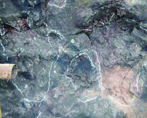 Более 200 окаменелых отпечатков лап динозавров обнаружено на юго-западе Китая