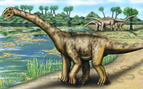 Более 200 окаменелых отпечатков лап динозавров обнаружено на юго-западе Китая