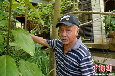 Семидесятилетний бывший эмигрант за 25 лет выделил более 100 млн. юаней на восстановление леса