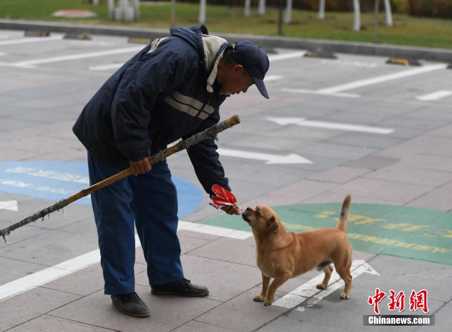 Собака три года помогает хозяину убирать мусор с улиц 