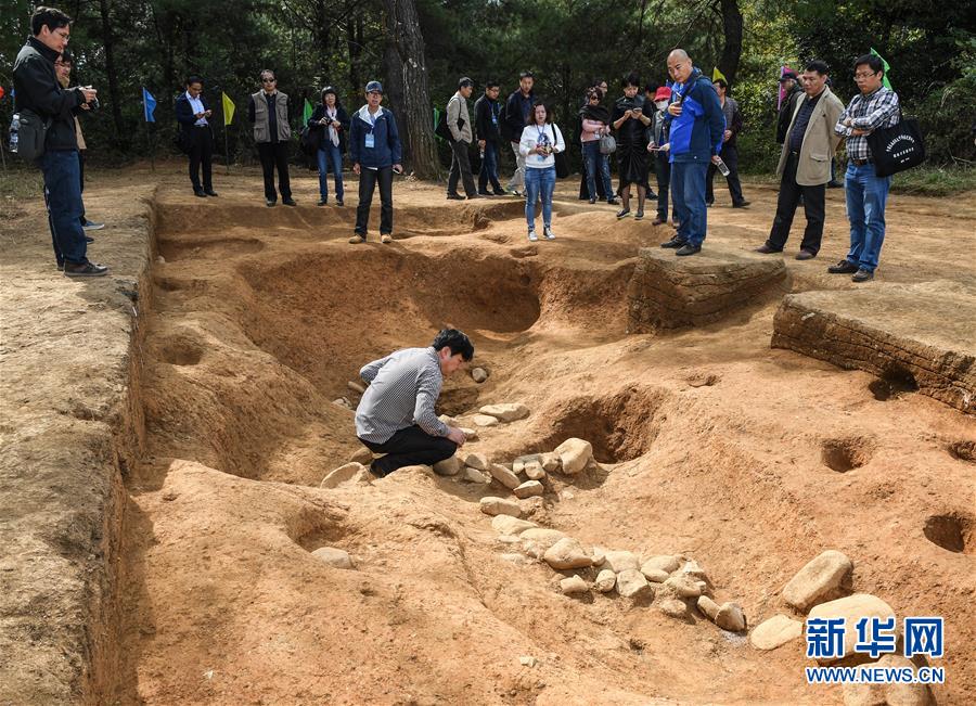 Найденные в Китае древние останки сельскохозяйственных культур перевернули традиционное представление ученых