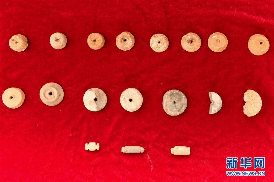 Найденные в Китае древние останки сельскохозяйственных культур перевернули традиционное представление ученых