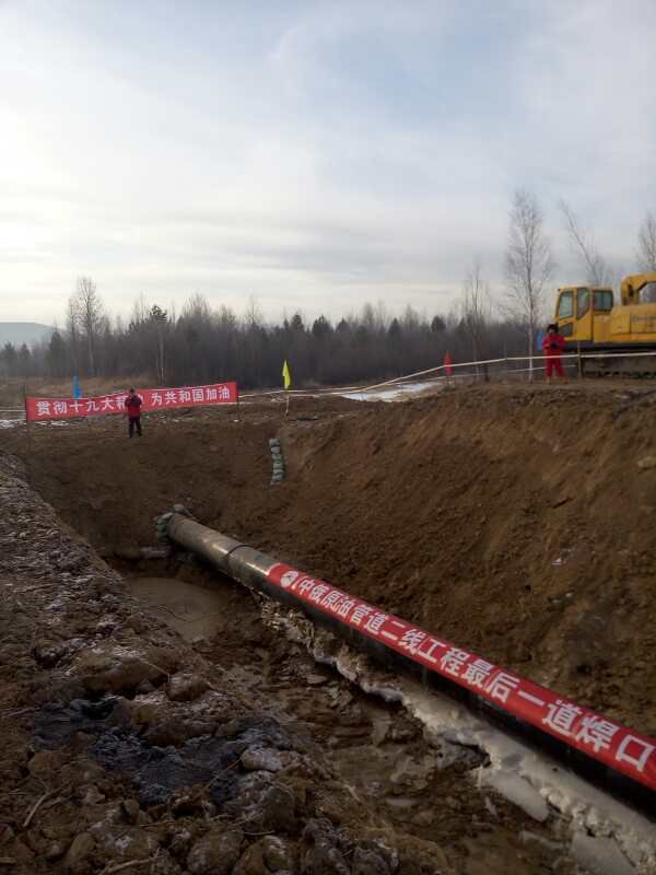 Полностью завершилось строительство второй ветки китайско-российского нефтепровода