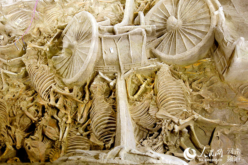 В Чжэнчжоу обнаружены останки погребальных лошадей