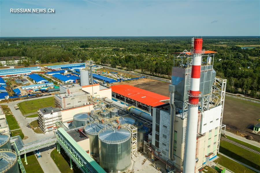 Запуск построенного китайской компанией САМСЕ Светлогорского целлюлозного завода принесет пользу Беларуси -- представитель САМСЕ