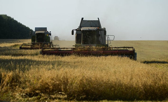 В этом году производство зерна в России достигло рекордного уровня