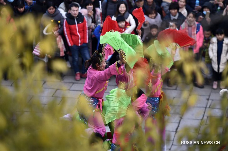 Предновогоднее шествие шэхо в Тайэрчжуане
