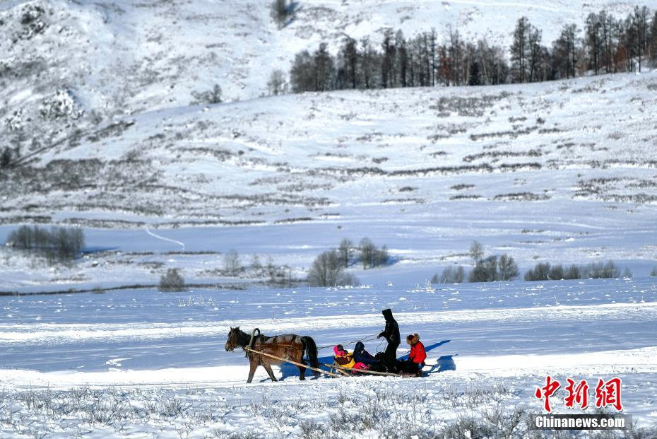 Уникальные конные сани в Синьцзяне обслуживают туристов