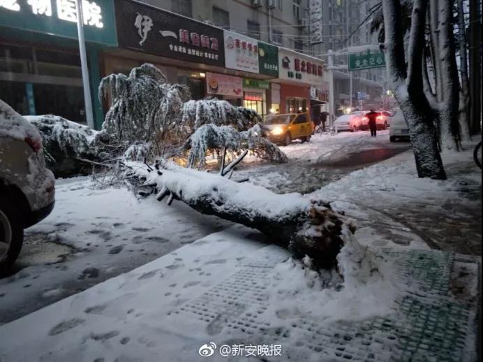 В городе Хэфэй в результате снежной бури один человек погиб и более 20 пострадали