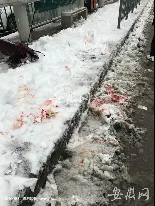 В городе Хэфэй в результате снежной бури один человек погиб и более 20 пострадали