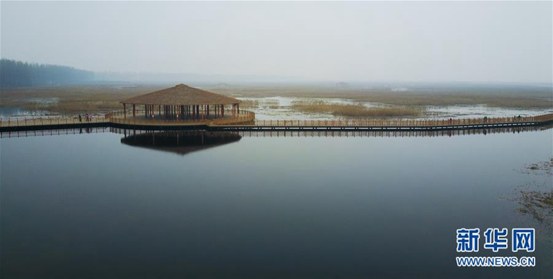 На фото - озеро Байяндянь в уезде Аньсинь провинции Хэбэй Фотограф - Ван Цзяньхуа новостного сайта ИА “Синьхуа”.