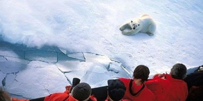 Туристов из Китая все больше привлекают туры в Арктику и Антарктику