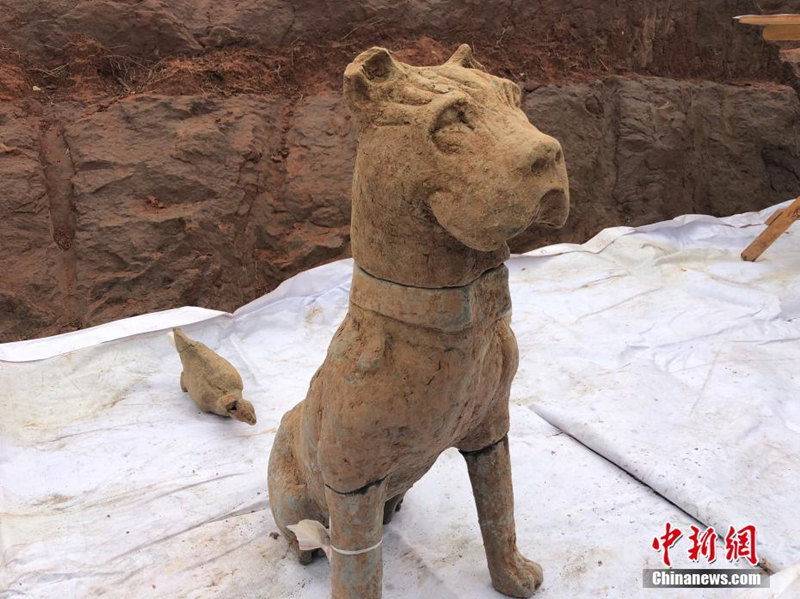 В Чэнду обнаружено громный наскальный некрополь времен древних династий Китая